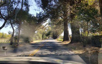 LCOC Classic Cars Tour Wine Country Near Sonoma