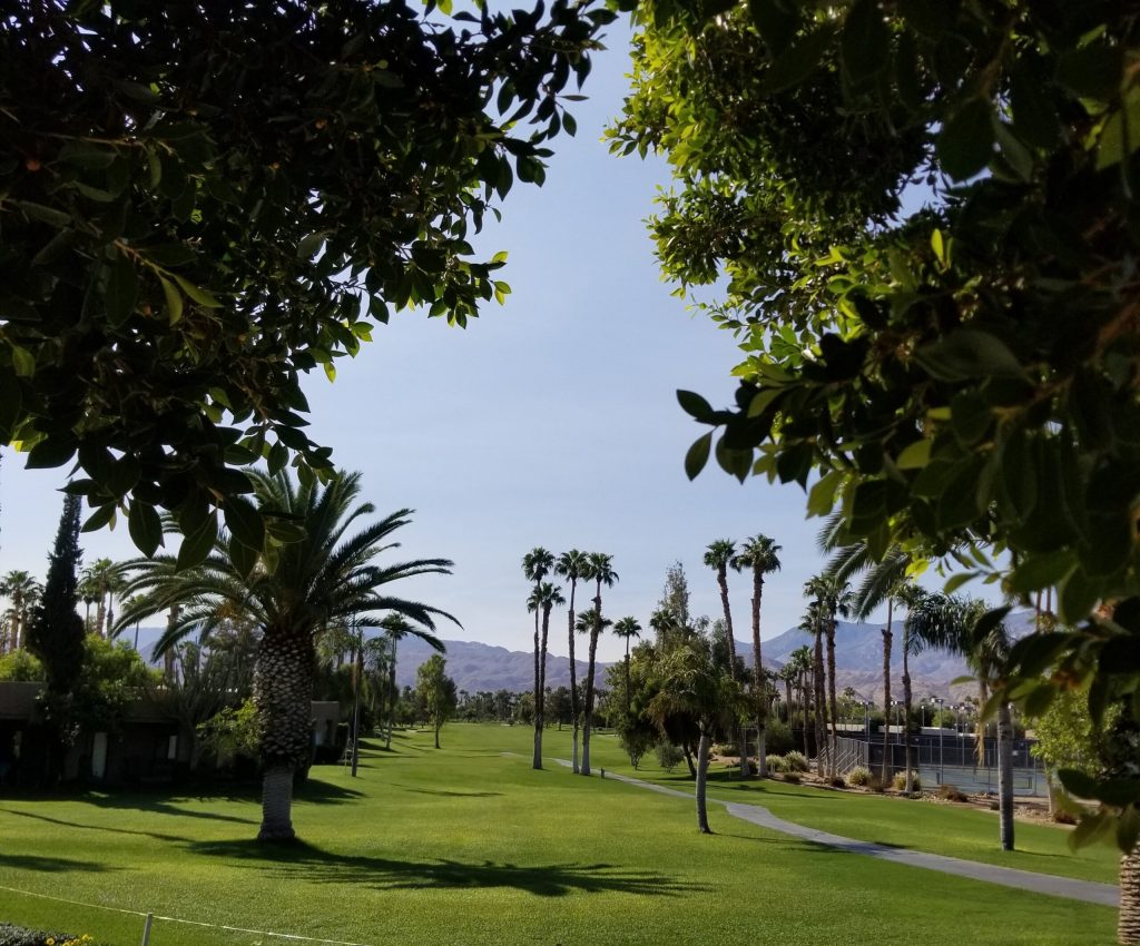 Show Field for 2021 Western National Meet