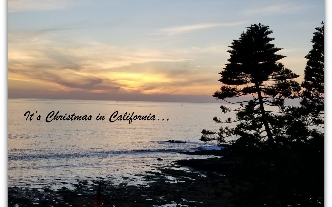 Season’s Greetings!