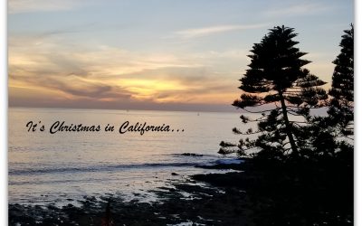 Season’s Greetings!