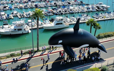 Family Friendly Festival of Whales Returns March 1-3 at Dana Point, CA, with March 2 Parade and Vintage Car Show